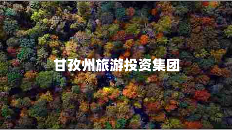 甘孜州旅游投資集團(tuán)