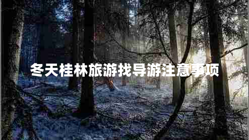 冬天桂林旅游找導(dǎo)游注意事項(xiàng) 冬天桂林旅游找導(dǎo)游注意事項(xiàng)