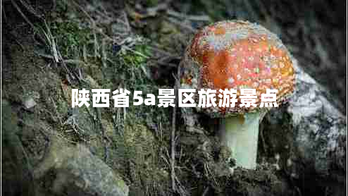 陜西省5a景區(qū)旅游景點 陜西省5a景區(qū)旅游景點