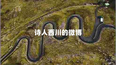 詩人西川的微博