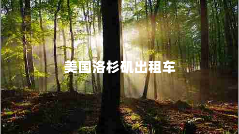 美國(guó)洛杉磯出租車 美國(guó)洛杉磯出租車