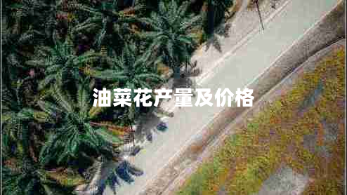 油菜花產(chǎn)量及價格