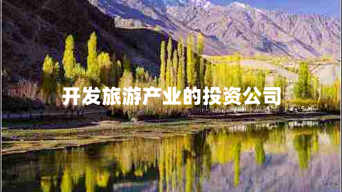 開發(fā)旅游產(chǎn)業(yè)的投資公司