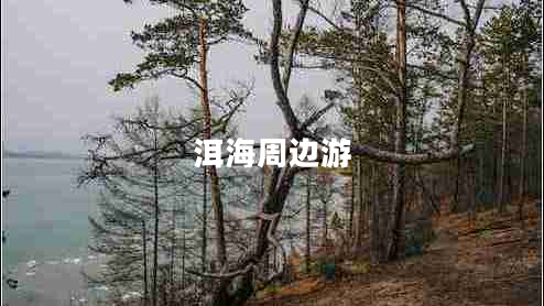 洱海周邊游 洱海周邊游