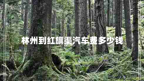 林州到紅旗渠汽車費(fèi)多少錢