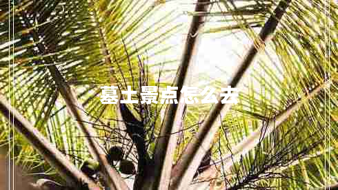 墓土景點(diǎn)怎么去 墓土景點(diǎn)怎么去