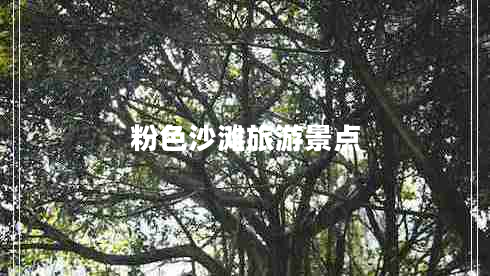 粉色沙灘旅游景點(diǎn)