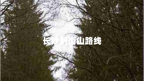 長(zhǎng)沙到衡山路線 長(zhǎng)沙到衡山路線