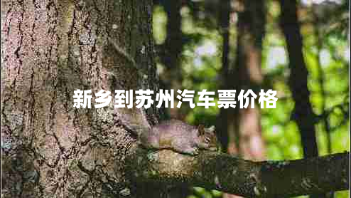 新鄉(xiāng)到蘇州汽車票價格