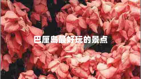 巴厘島最好玩的景點