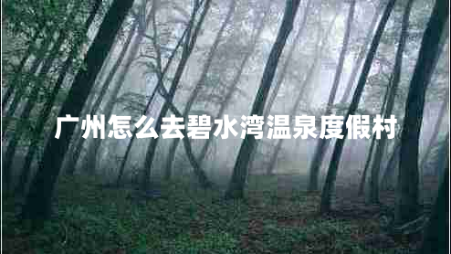 廣州怎么去碧水灣溫泉度假村