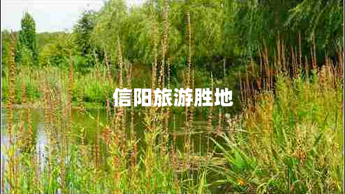 信陽(yáng)旅游勝地 信陽(yáng)旅游勝地