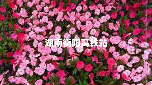 湖南衡陽高鐵站