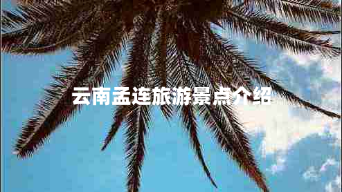 云南孟連旅游景點(diǎn)介紹