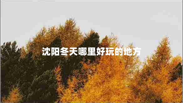 沈陽冬天哪里好玩的地方