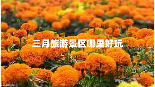三月旅游景區(qū)哪里好玩