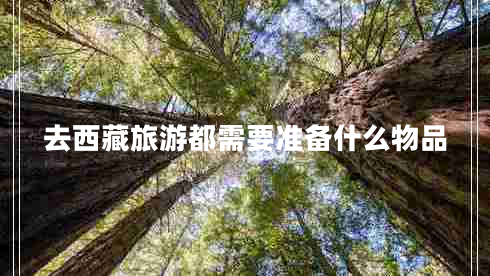 去西藏旅游都需要準(zhǔn)備什么物品