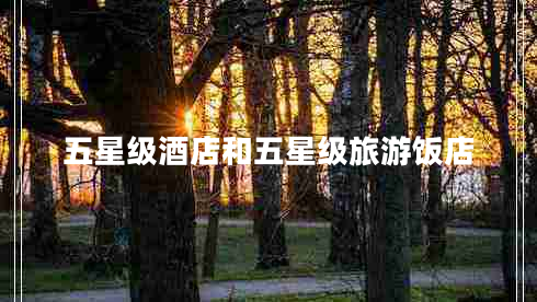 五星級(jí)酒店和五星級(jí)旅游飯店