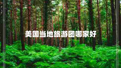 美國當(dāng)?shù)芈糜螆F(tuán)哪家好