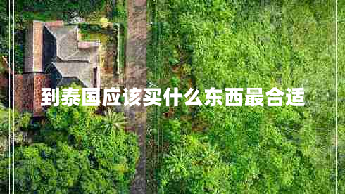 到泰國(guó)應(yīng)該買(mǎi)什么東西最合適 到泰國(guó)應(yīng)該買(mǎi)什么東西最合適