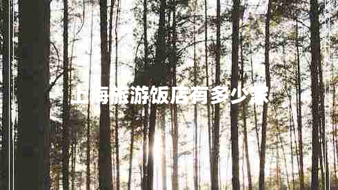 上海旅游飯店有多少家 上海旅游飯店有多少家