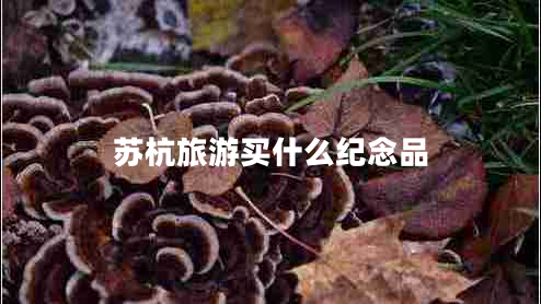 蘇杭旅游買什么紀念品