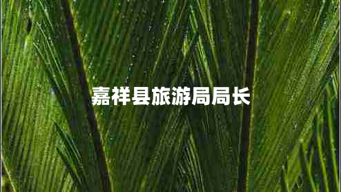 嘉祥縣旅游局局長