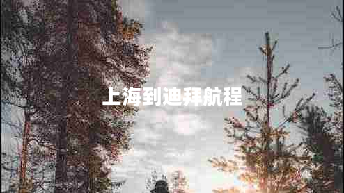 上海到迪拜航程 上海到迪拜航程