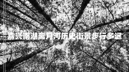 嘉興南湖離月河歷史街景步行多遠(yuǎn)