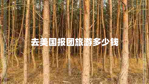 去美國報(bào)團(tuán)旅游多少錢