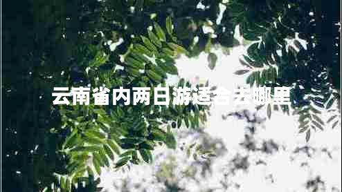 云南省內兩日游適合去哪里 云南省內兩日游適合去哪里