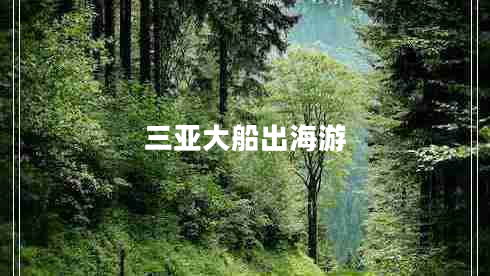 三亞大船出海游