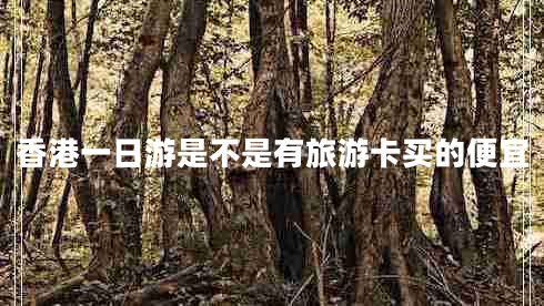 香港一日游是不是有旅游卡買的便宜