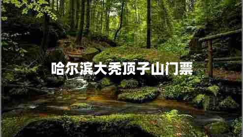 哈爾濱大禿頂子山門票 哈爾濱大禿頂子山門票