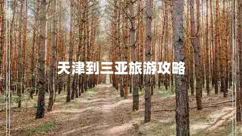 天津到三亞旅游攻略
