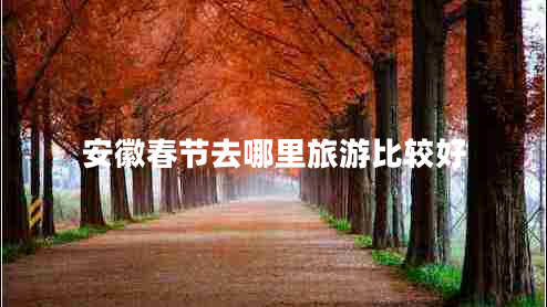 安徽春節(jié)去哪里旅游比較好 安徽春節(jié)去哪里旅游比較好