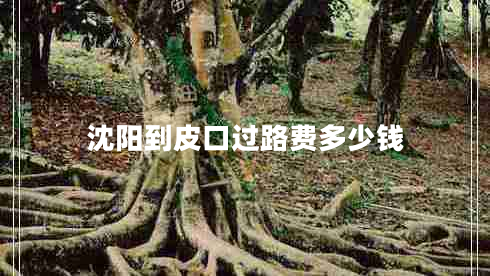 沈陽到皮口過路費多少錢 沈陽到皮口過路費多少錢