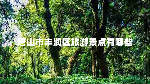 唐山市豐潤區(qū)旅游景點(diǎn)有哪些