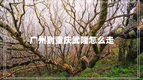 廣州到重慶武隆怎么走