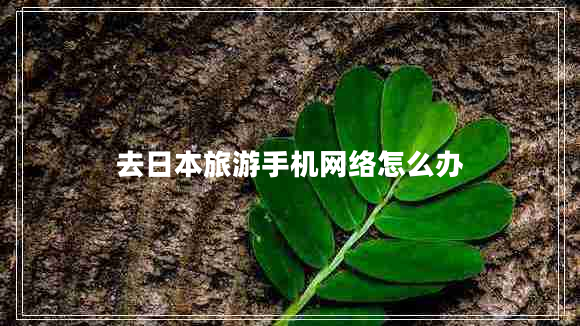 去日本旅游手機網(wǎng)絡怎么辦
