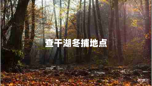 查干湖冬捕地點(diǎn)