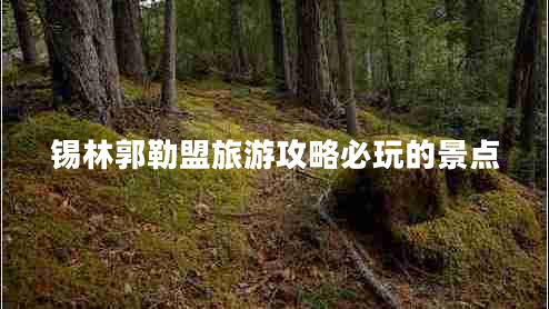 錫林郭勒盟旅游攻略必玩的景點(diǎn)