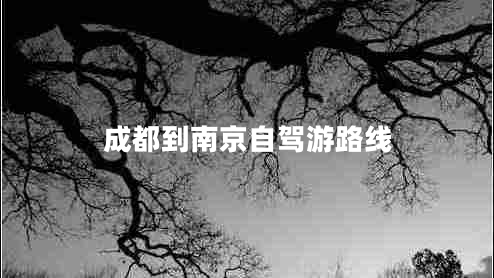 成都到南京自駕游路線 成都到南京自駕游路線