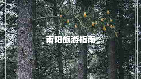 南陽(yáng)旅游指南