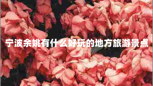 寧波余姚有什么好玩的地方旅游景點(diǎn)