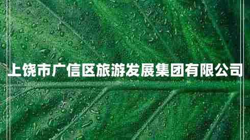 上饒市廣信區(qū)旅游發(fā)展集團(tuán)有限公司