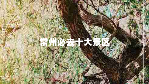 常州必去十大景區(qū)