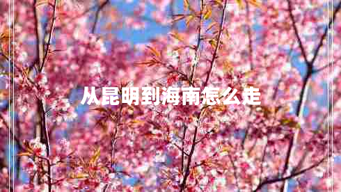 從昆明到海南怎么走