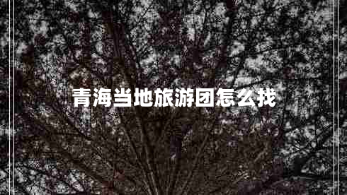 青海當(dāng)?shù)芈糜螆F(tuán)怎么找