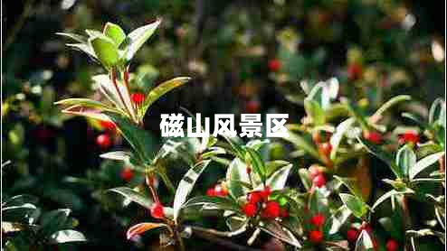 磁山風(fēng)景區(qū)